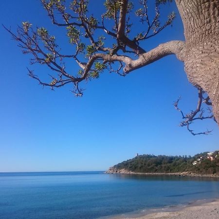 Un Po Di Relax A Pochi Passi Dal Mare! Lägenhet Àrbatax Exteriör bild