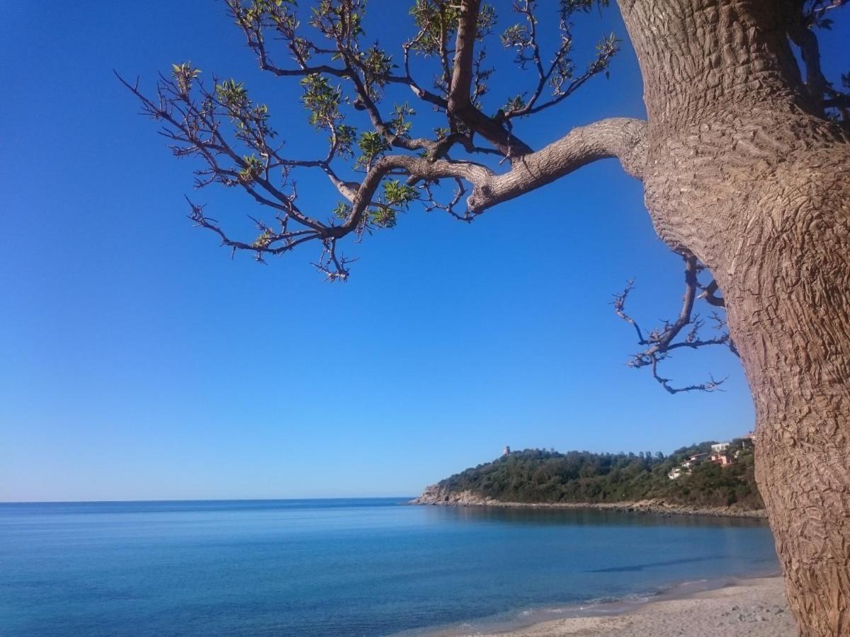 Un Po Di Relax A Pochi Passi Dal Mare! Lägenhet Àrbatax Exteriör bild